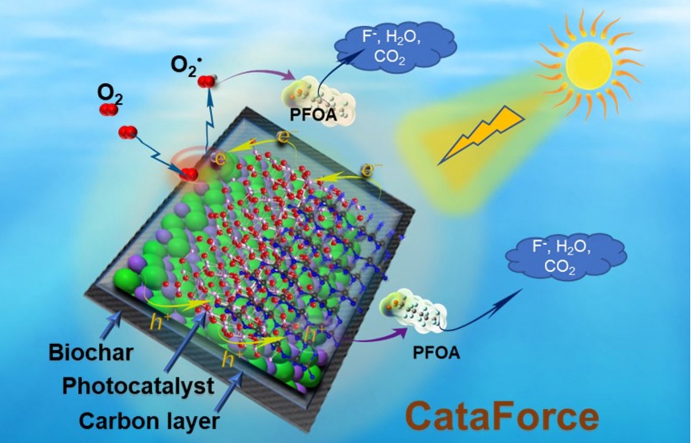 PFAS are both hydro- and oleophobic, meaning they are water and fat repellent. They are also very stable molecules which makes them extremely difficult to break down, hence the name ‘forever chemicals’. PFAS accumulate in humans, animals and nature, and are unfortunately extremely harmful to health and the environment. Illustration: Aarhus University.