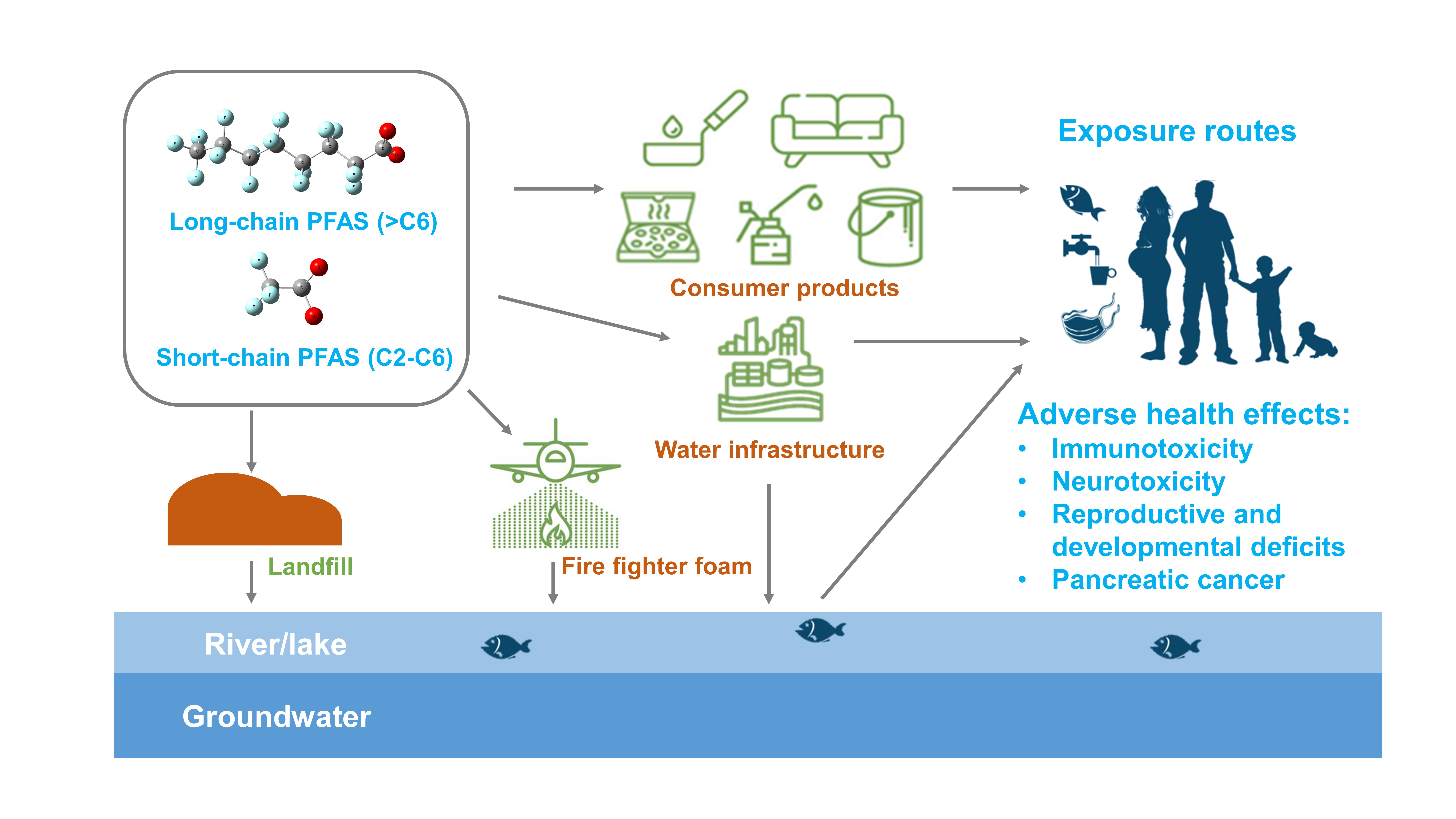 What Are Forever Chemicals? – o3waterworks